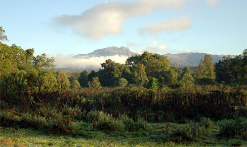 Bale Mountains in Ethiopia