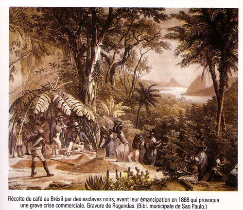 Plantation slaves in Brazil