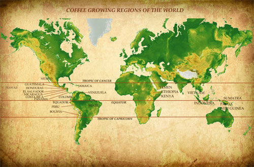 The Coffee Belt