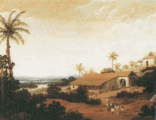 Colonial Plantation in Brazil