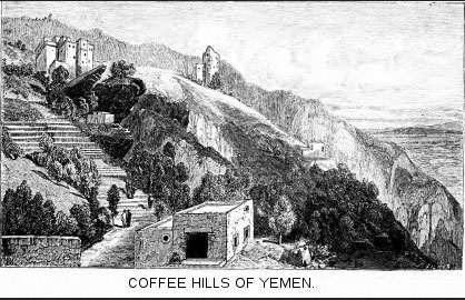 Yemen coffee mountain