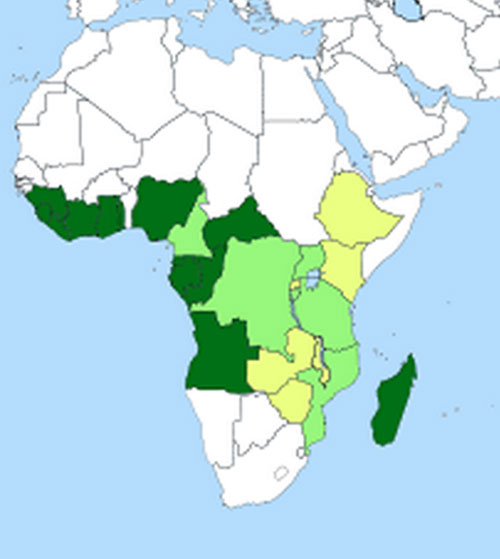 Coffee Growing Regions of Africa