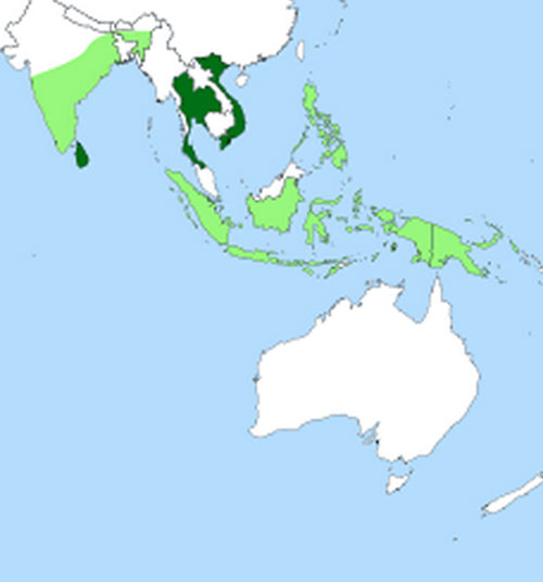 Coffee Growing Regions of Asia